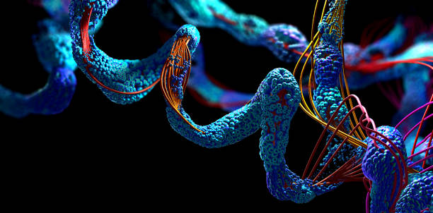 High Grade Peptides: Cell Code Change